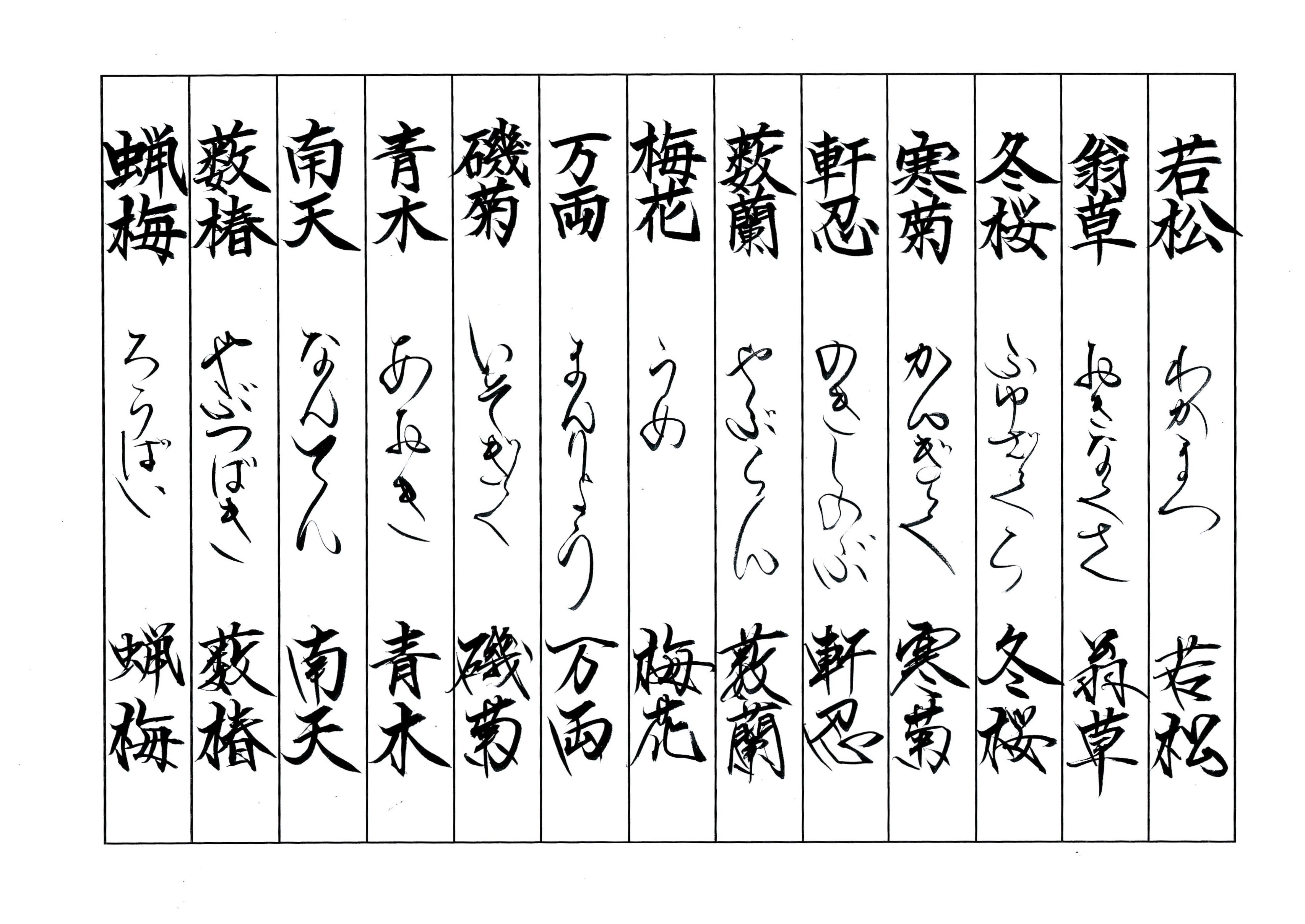 美文字作品